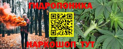 прущие грибы Краснодар