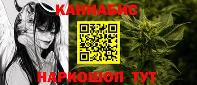 прущие грибы Краснодар